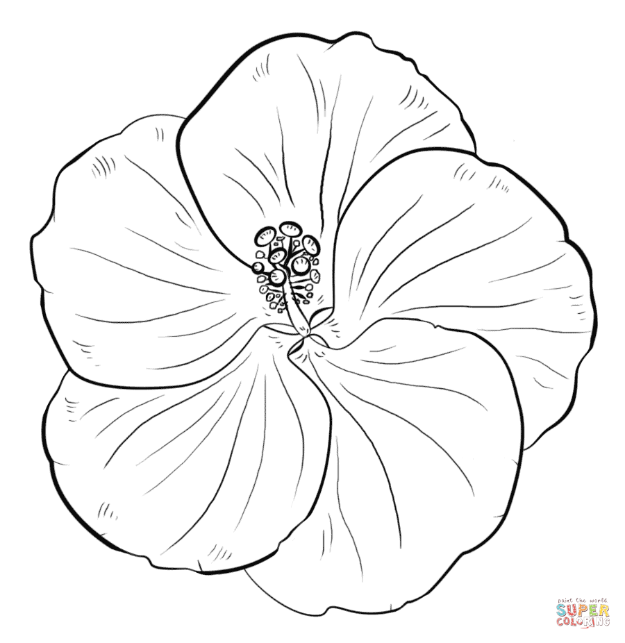 Yellow Flower coloring #1, Download drawings
