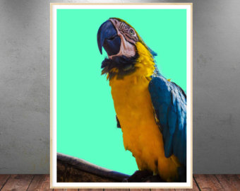 Yellow Ring Neck Parrot svg #18, Download drawings