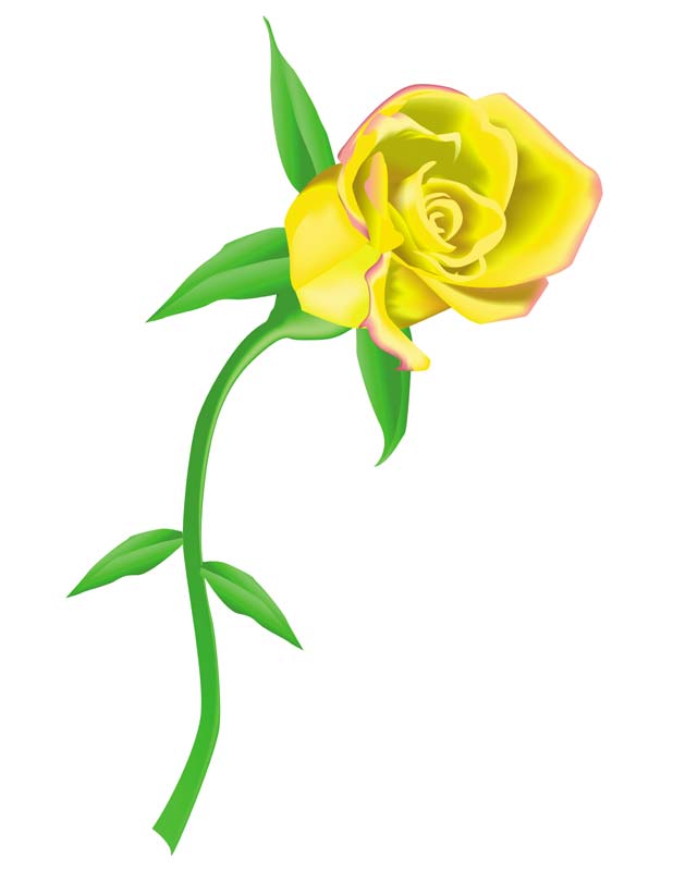 Yellow Rose clipart #20, Download drawings