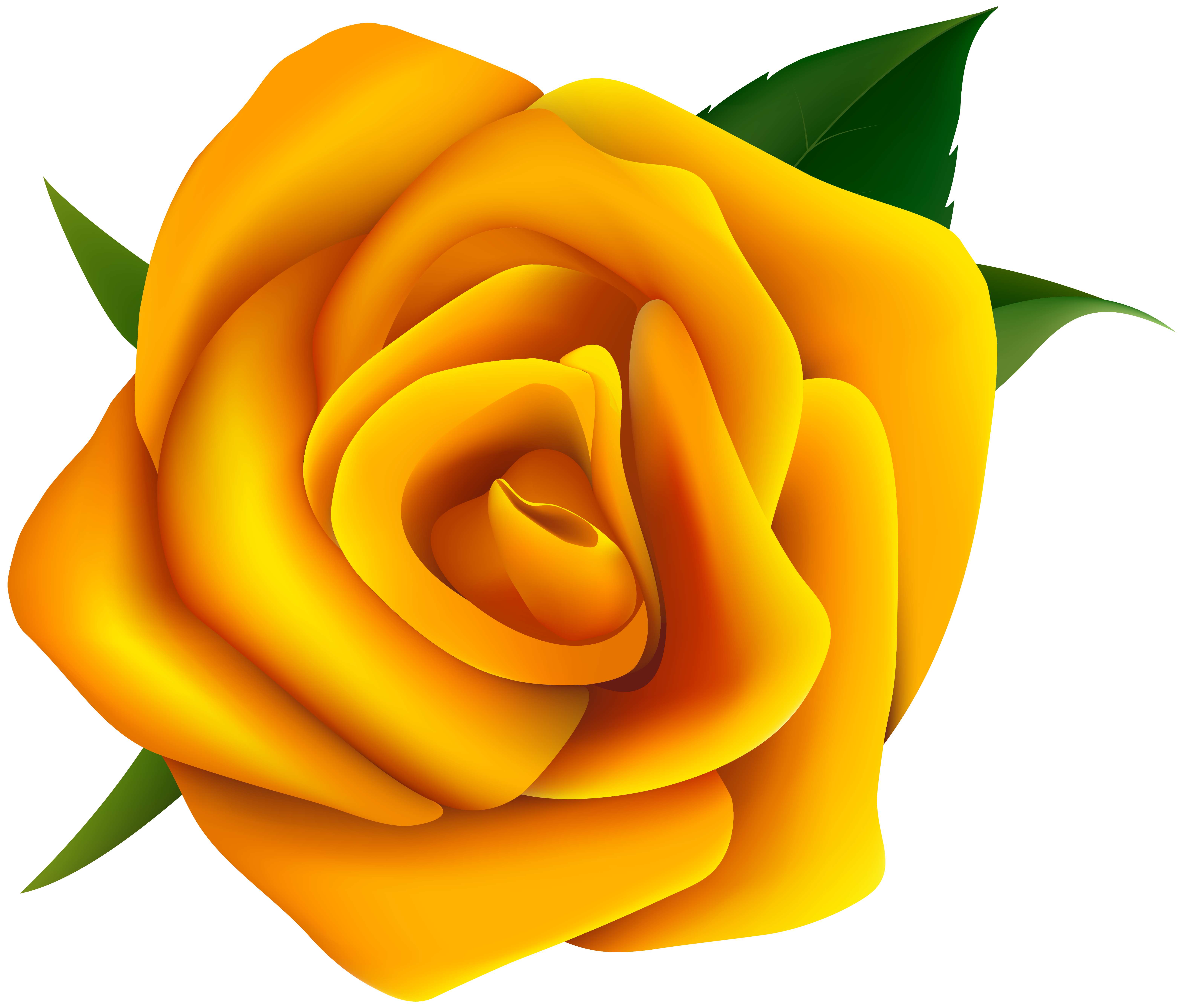 Yellow Rose clipart #4, Download drawings