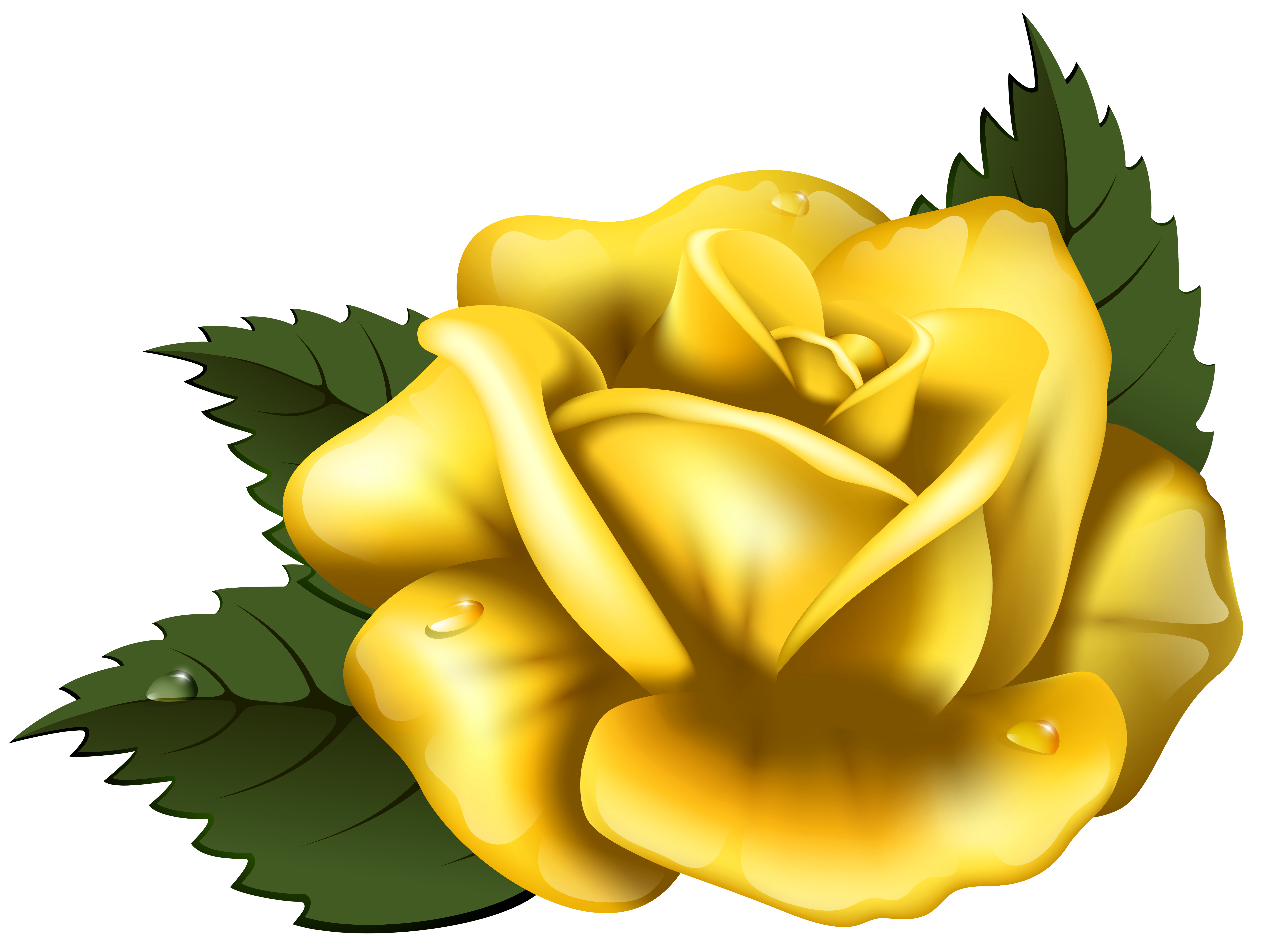 Yellow Rose clipart #1, Download drawings