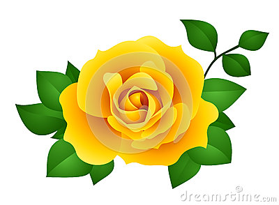 Yellow Rose clipart #12, Download drawings