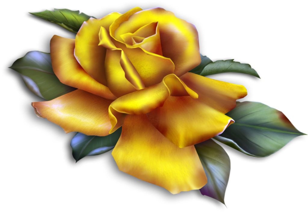Yellow Rose clipart #5, Download drawings
