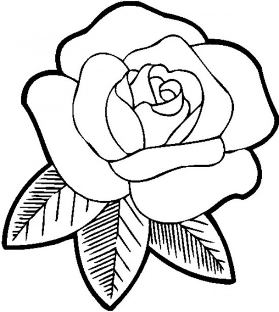 Yellow Rose coloring #5, Download drawings