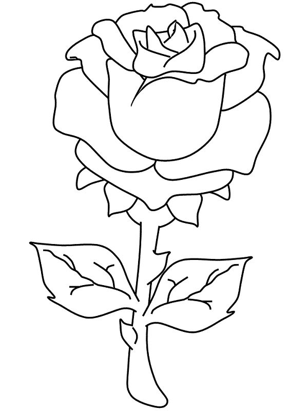 Yellow Rose coloring #10, Download drawings
