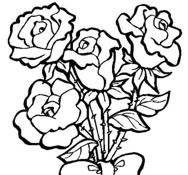Yellow Rose coloring #11, Download drawings