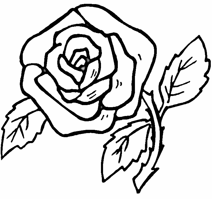Yellow Rose coloring #8, Download drawings
