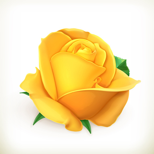 Yellow Rose svg #17, Download drawings