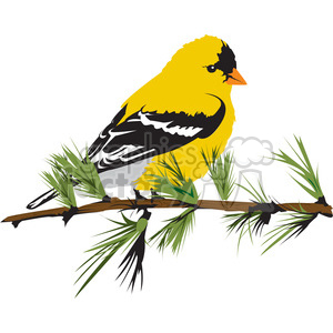 Yellow Warbler svg #15, Download drawings
