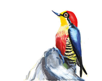 Yellow-fronted Woodpecker svg #5, Download drawings