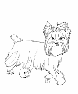 Yrokshire Terrier coloring #2, Download drawings
