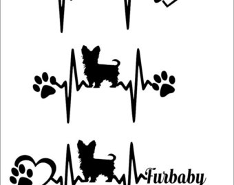 Yrokshire Terrier svg #13, Download drawings