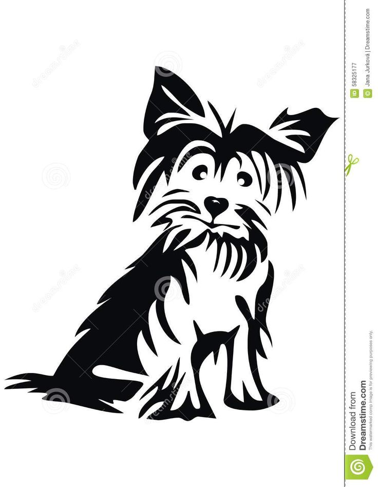 Yrokshire Terrier svg #11, Download drawings