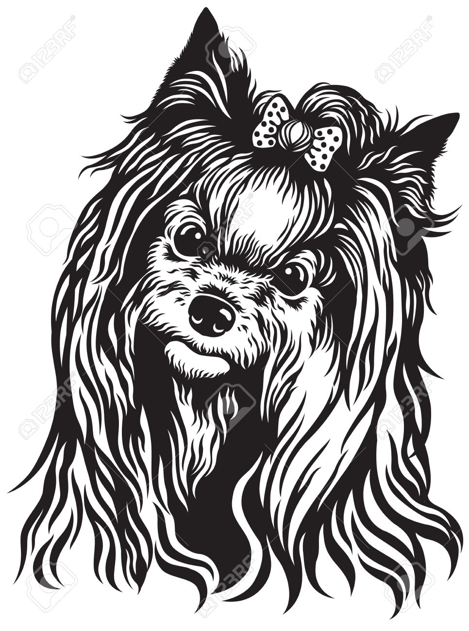 Yrokshire Terrier clipart #8, Download drawings