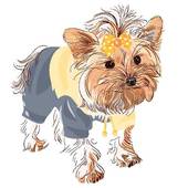 Yrokshire Terrier clipart #10, Download drawings