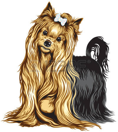 Yrokshire Terrier clipart #5, Download drawings