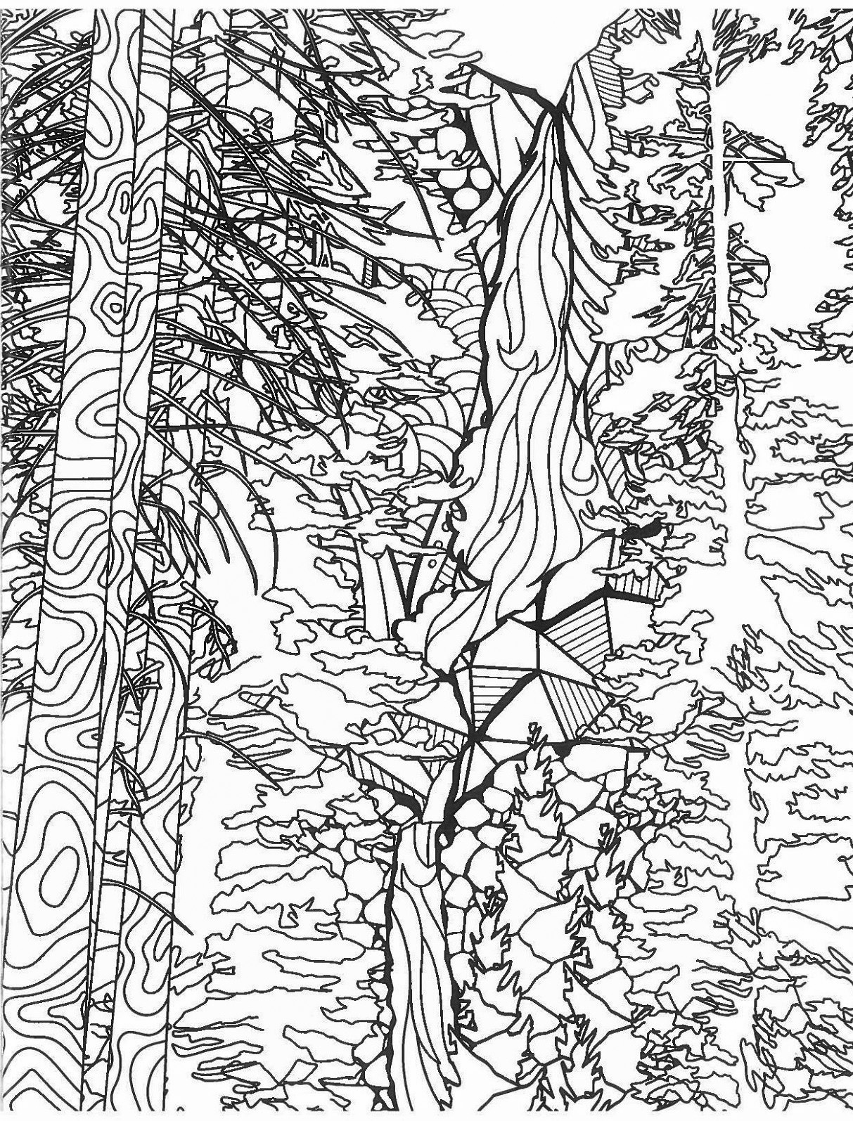 Yosemite Falls coloring #3, Download drawings