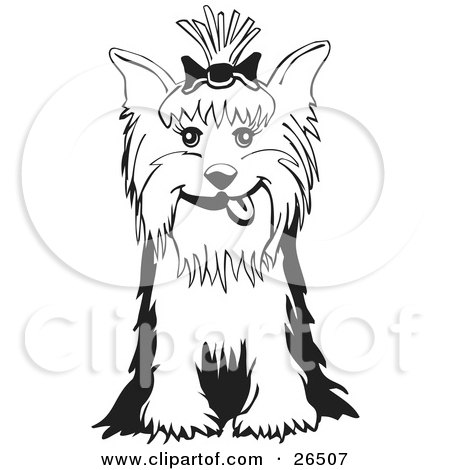 Yrokshire Terrier clipart #2, Download drawings