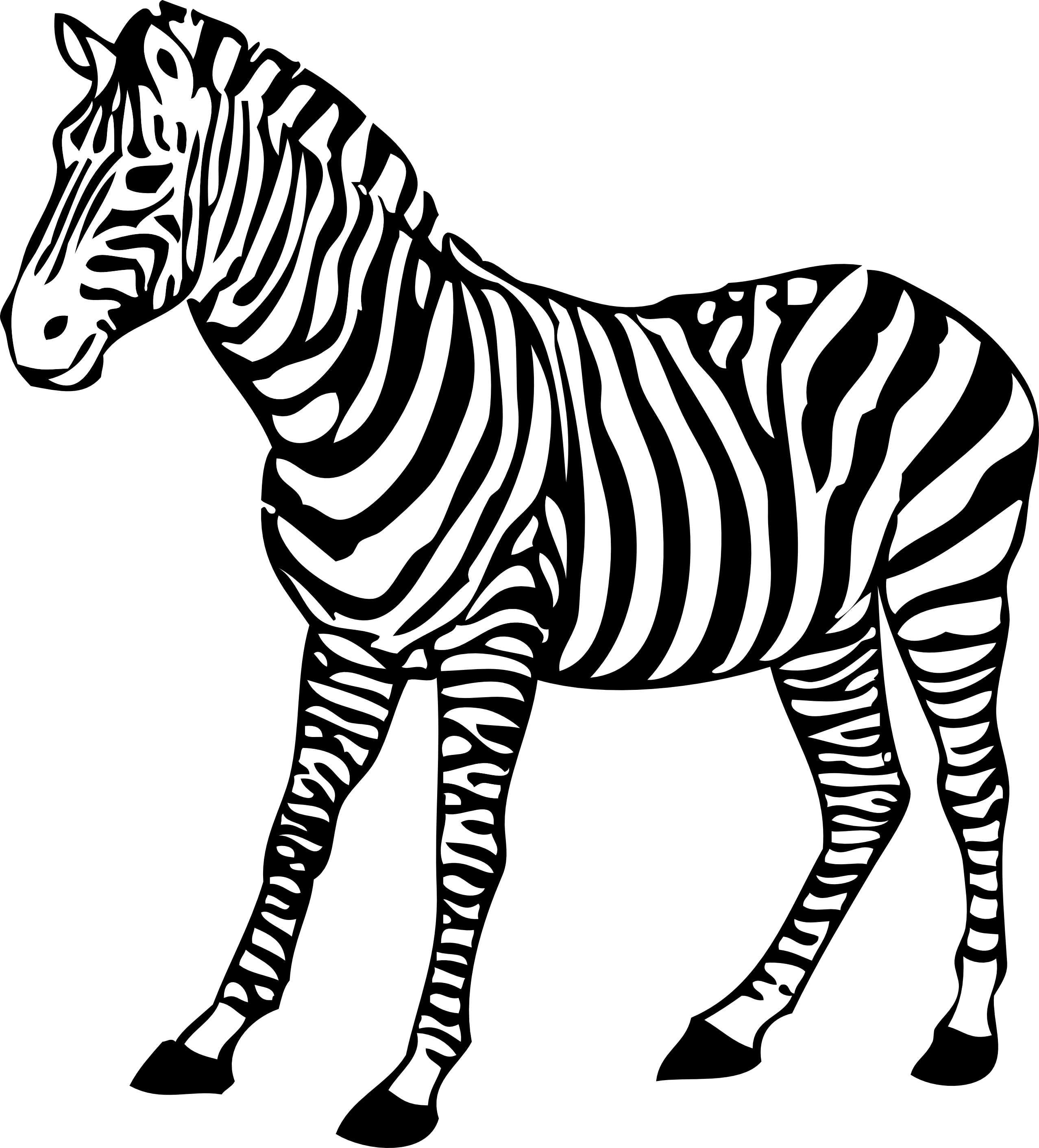 Zebra clipart #7, Download drawings