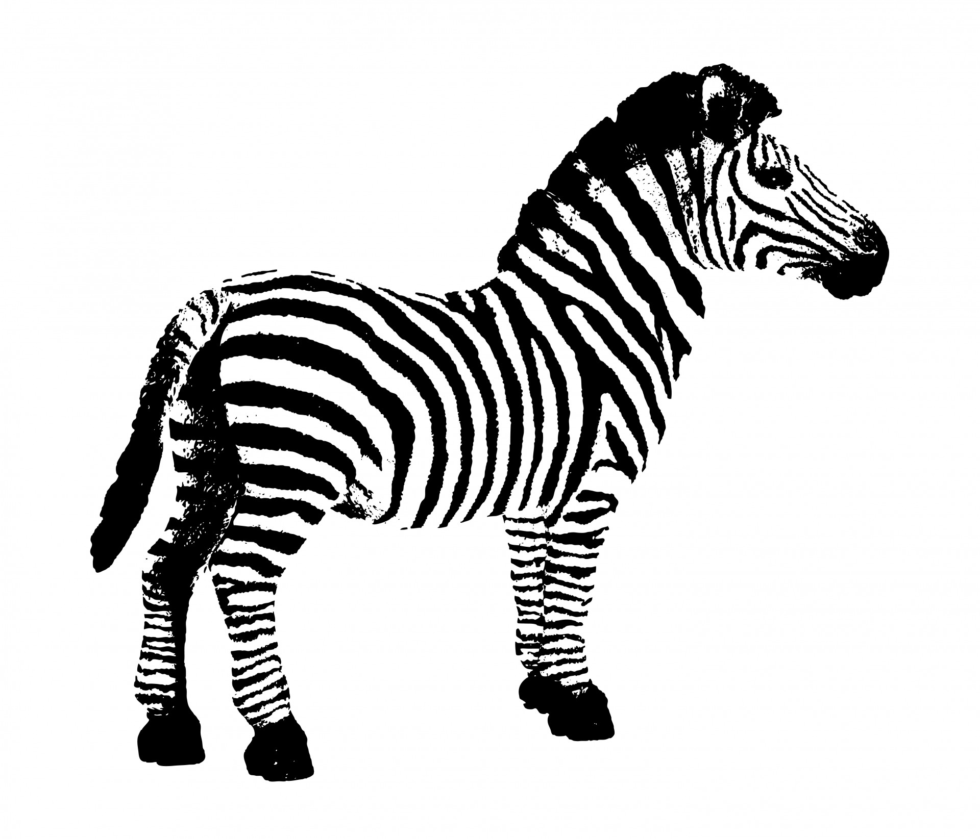 Zebra clipart #2, Download drawings