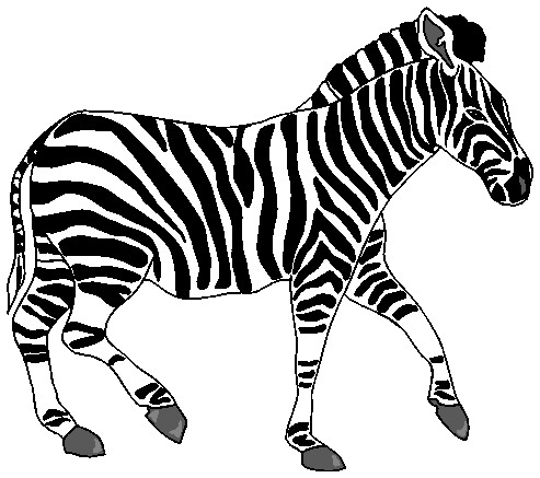 Zebra clipart #16, Download drawings