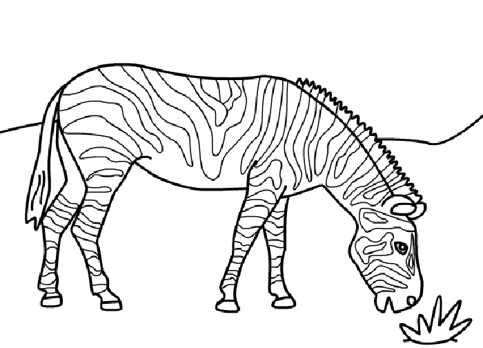 Zebra coloring #14, Download drawings
