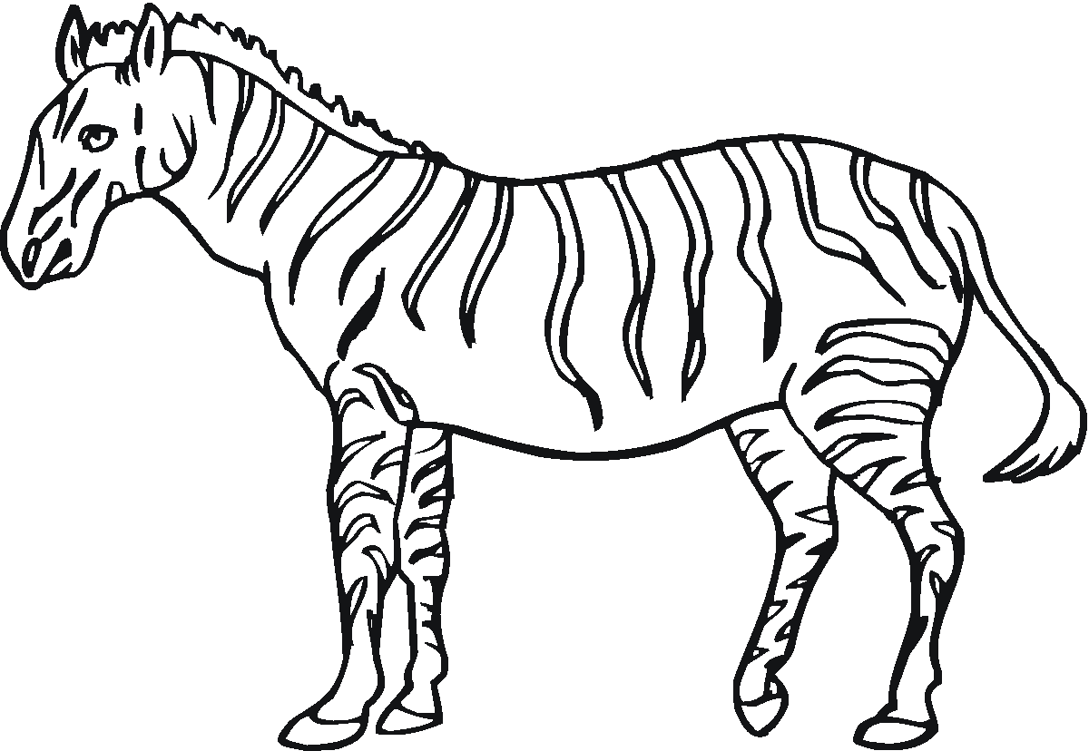 Zebra coloring #15, Download drawings