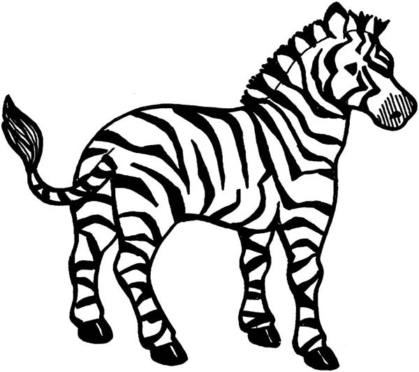 Zebra coloring #19, Download drawings
