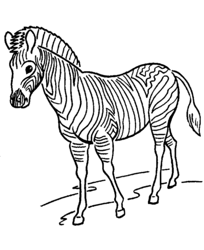 Zebra coloring #9, Download drawings