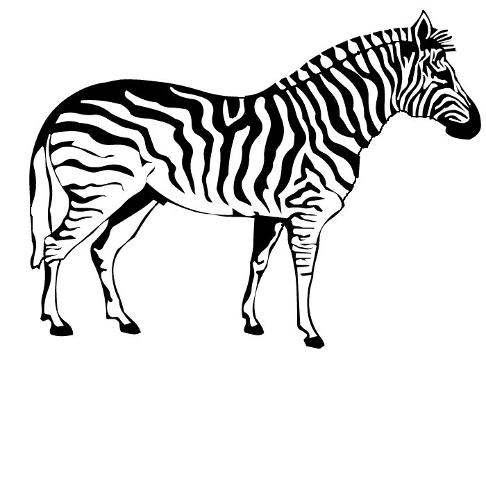 Zebra coloring #11, Download drawings