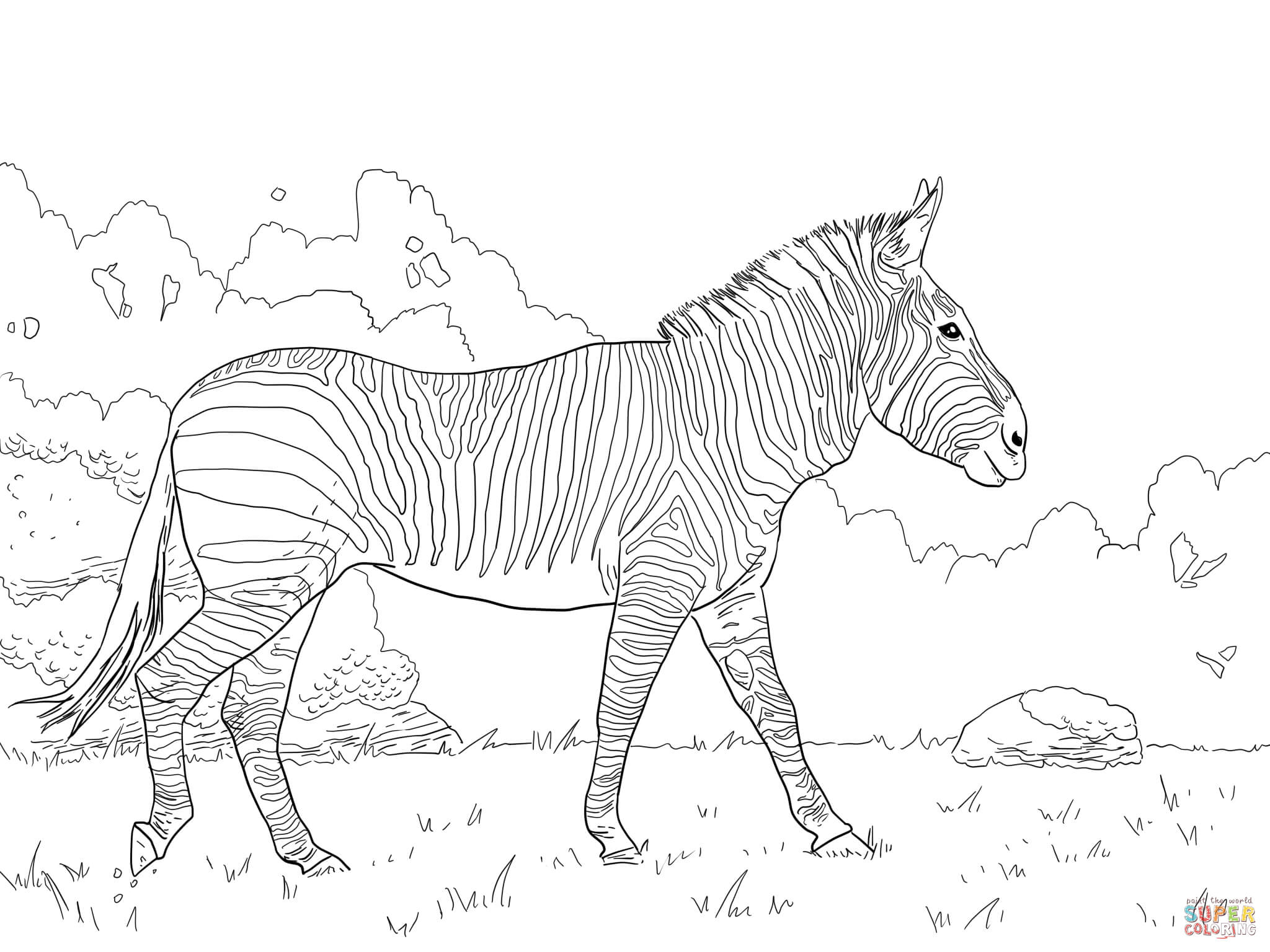 Zebra coloring #16, Download drawings