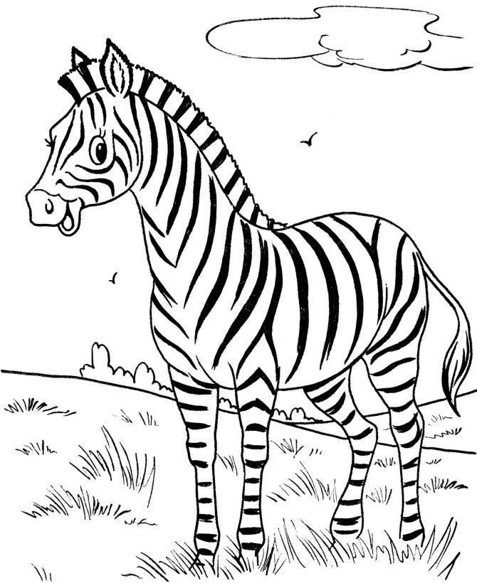 Zebra coloring #4, Download drawings