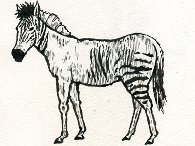 Zebroid svg #12, Download drawings