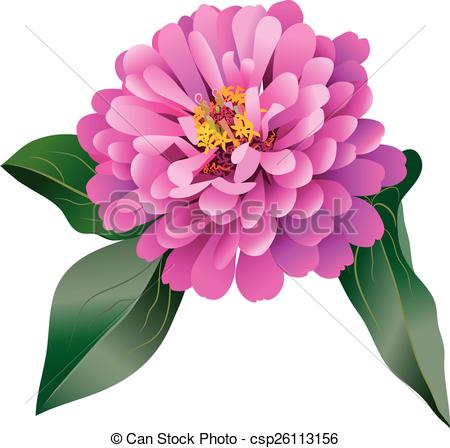Zinnia clipart #18, Download drawings