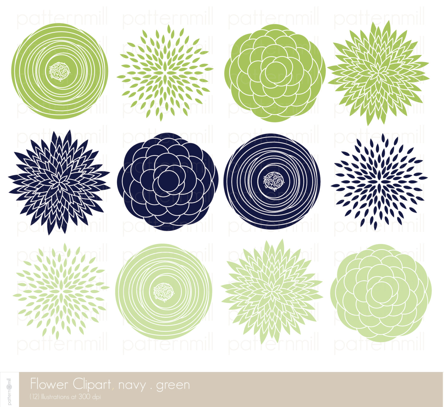 Zinnia clipart #3, Download drawings