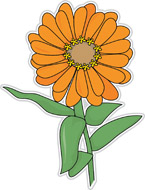 Zinnia clipart #1, Download drawings