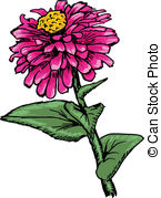 Zinnia clipart #19, Download drawings
