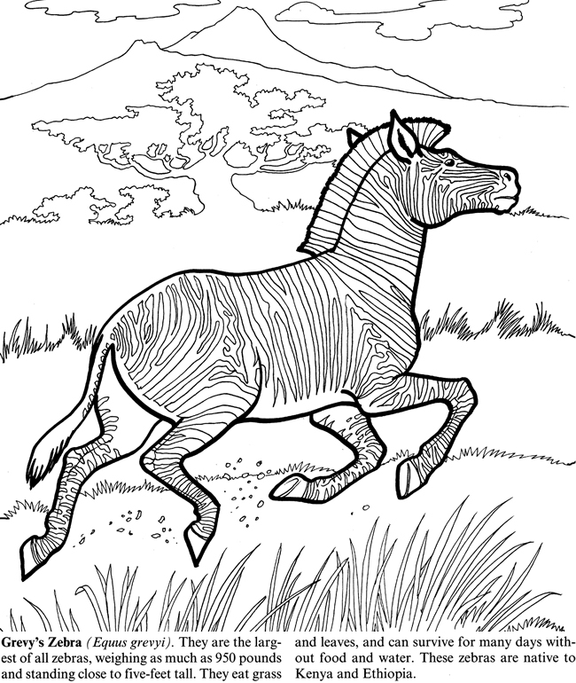 Zonkey coloring #15, Download drawings