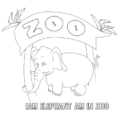Zoo coloring #3, Download drawings