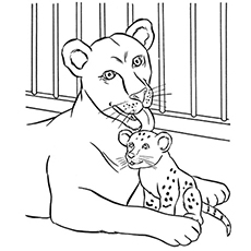 Zoo coloring #14, Download drawings