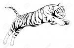 Amur Tiger clipart