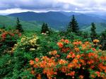 Appalachian Mountains coloring