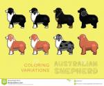 Australian Shepherd coloring