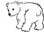Bear Cub coloring