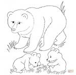 Grizzly Cubs coloring