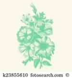 Begonia clipart