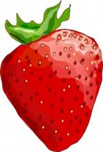 Berry clipart