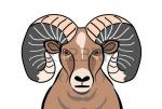 Bighorn Sheep clipart