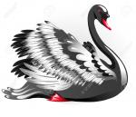 Black Swan clipart