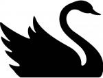 Black Swan clipart